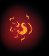 [Phoenix Gate Flame]
